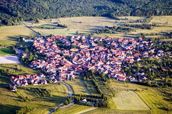 Aerial view of Village view in the district Büchelberg in Wörth am Rhein in the state Rhineland-Palatinate, Germany
