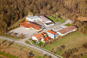 At the Old Forest in the district Illingen in Elchesheim-Illingen in the state Baden-Wuerttemberg, Germany