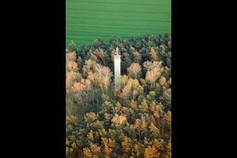 Radio tower and transmitter in a forest in Jueterbog in the state Brandenburg