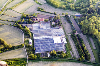 Aerial view of Geranium nursery in Hagenbach in the state Rhineland-Palatinate, Germany