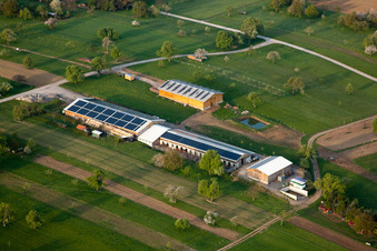 Vogel Horse Farm in the district Busenbach in Waldbronn in the state Baden-Wuerttemberg, Germany