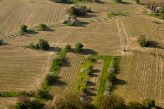 Fields and orchards at the teaching garden of the Fruit and Horticulture Association 2 eV in the district Kleinsteinbach in Pfinztal in the state Baden-Wuerttemberg, Germany