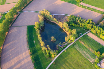 Biotope pond in Au am Rhein in the state Baden-Wuerttemberg, Germany