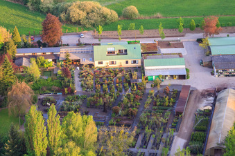 Aerial photograpy of Bienwald-Baumschule GbR in Berg in the state Rhineland-Palatinate, Germany