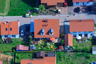In the pea field in the district Mörzheim in Landau in der Pfalz in the state Rhineland-Palatinate, Germany from the plane