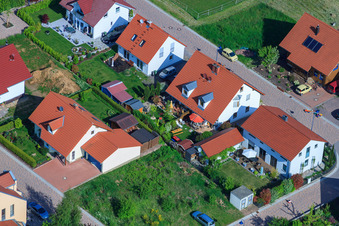 Drone recording of In the pea field in the district Mörzheim in Landau in der Pfalz in the state Rhineland-Palatinate, Germany