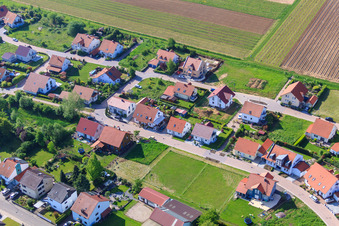 In the pea field in the district Mörzheim in Landau in der Pfalz in the state Rhineland-Palatinate, Germany from above