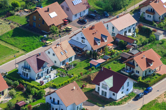 In the pea field in the district Mörzheim in Landau in der Pfalz in the state Rhineland-Palatinate, Germany from a drone