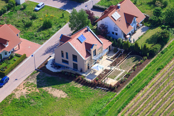 In the pea field in the district Mörzheim in Landau in der Pfalz in the state Rhineland-Palatinate, Germany from above