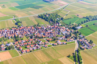 Aerial view of Village view from the southeast in the district Wollmesheim in Landau in der Pfalz in the state Rhineland-Palatinate, Germany
