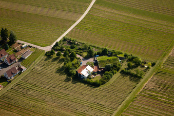 Aerial view of Bioland Winery Marzolph in the district Wollmesheim in Landau in der Pfalz in the state Rhineland-Palatinate, Germany