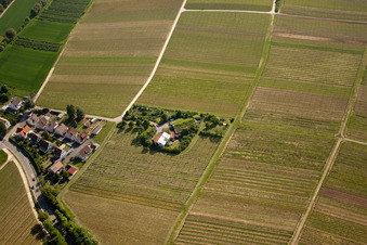 Aerial photograpy of Bioland Winery Marzolph in the district Wollmesheim in Landau in der Pfalz in the state Rhineland-Palatinate, Germany