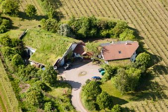 Aerial photograpy of Bioland winegrowing under the grass roof Marzolph winery in the district Wollmesheim in Landau in der Pfalz in the state Rhineland-Palatinate, Germany