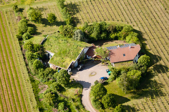 Oblique view of Bioland winegrowing under the grass roof Marzolph winery in the district Wollmesheim in Landau in der Pfalz in the state Rhineland-Palatinate, Germany