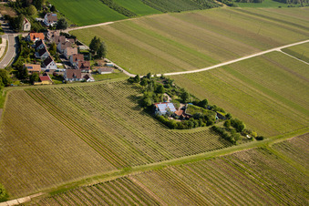 Bioland winegrowing under the grass roof Marzolph winery in the district Wollmesheim in Landau in der Pfalz in the state Rhineland-Palatinate, Germany out of the air