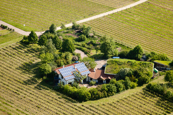 Bioland winegrowing under the grass roof Marzolph winery in the district Wollmesheim in Landau in der Pfalz in the state Rhineland-Palatinate, Germany seen from above