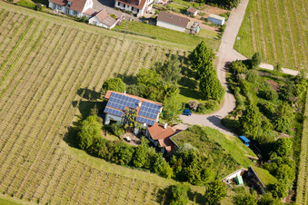 Bioland winegrowing under the grass roof Marzolph winery in the district Wollmesheim in Landau in der Pfalz in the state Rhineland-Palatinate, Germany from the plane