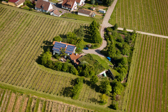 Bird's eye view of Bioland winegrowing under the grass roof Marzolph winery in the district Wollmesheim in Landau in der Pfalz in the state Rhineland-Palatinate, Germany