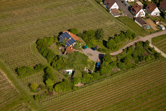 Drone recording of Bioland winegrowing under the grass roof Marzolph winery in the district Wollmesheim in Landau in der Pfalz in the state Rhineland-Palatinate, Germany