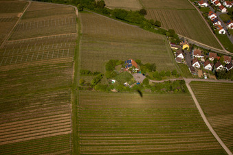 Bioland winegrowing under the grass roof Marzolph winery in the district Wollmesheim in Landau in der Pfalz in the state Rhineland-Palatinate, Germany from the drone perspective