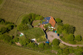 Aerial view of Bioland winegrowing under the grass roof Marzolph winery in the district Wollmesheim in Landau in der Pfalz in the state Rhineland-Palatinate, Germany