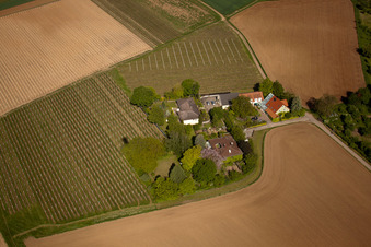 Aerial view of Smallpox set in Landau in der Pfalz in the state Rhineland-Palatinate, Germany