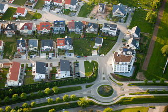 Privet Drive in the district Busenbach in Waldbronn in the state Baden-Wuerttemberg, Germany