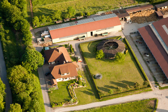 Aerial view of Engelberth Riding Center on Bögnerweg in Wiesloch in the state Baden-Wuerttemberg, Germany