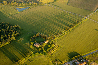 Grassy structures of a field landscape with long shadows of the cypress avenue of the old farm Az. Agr. San Luciano in Monte San Savino in the state Arezzo, Italy