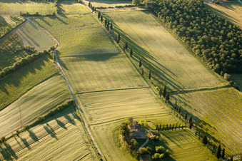 Lucignano/Il Pianello