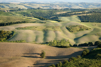 Vergelle in the state Tuscany, Italy