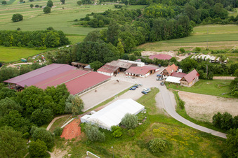 Haras de la Neée in Neewiller-près-Lauterbourg in the state Bas-Rhin, France out of the air
