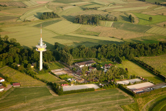 Kaiserhof Stud at the radio mast in the district Legelshurst in Willstätt in the state Baden-Wuerttemberg, Germany