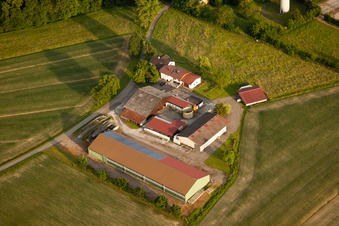 Aerial view of Kaiserhof Stud in the district Legelshurst in Willstätt in the state Baden-Wuerttemberg, Germany