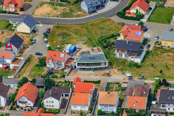 Cornflower Path in the district Hardtwald in Neupotz in the state Rhineland-Palatinate, Germany