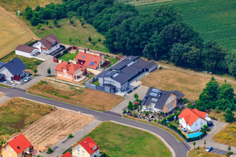 Flower ring in the district Hardtwald in Neupotz in the state Rhineland-Palatinate, Germany viewn from the air