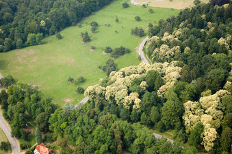 Speyererhofweg in the district Königstuhl in Heidelberg in the state Baden-Wuerttemberg, Germany