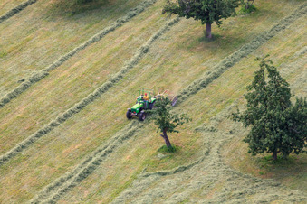 Mowing work at the Bierhelderhof in the district Königstuhl in Heidelberg in the state Baden-Wuerttemberg, Germany