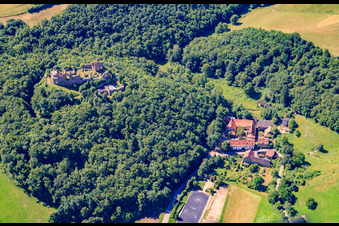 Hallgarten/Montforterhof