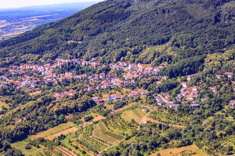 At Dieterswald in Dannenfels in the state Rhineland-Palatinate, Germany
