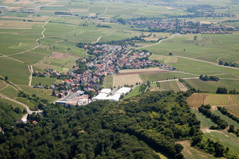 From the west in Kleinkarlbach in the state Rhineland-Palatinate, Germany