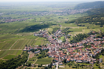 Village - view on the edge of agricultural fields and farmland in Leistadt in the state Rhineland-Palatinate, Germany