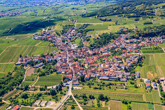 Agricultural fields and farmland in the district Leistadt in Bad Dürkheim in the state Rhineland-Palatinate, Germany