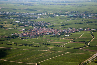 District Ungstein in Bad Dürkheim in the state Rhineland-Palatinate, Germany
