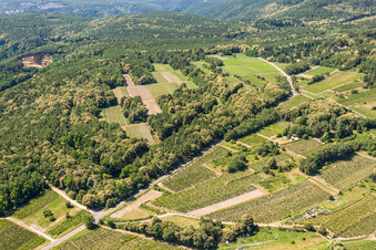 Vineyards in Kallstadt in the state Rhineland-Palatinate, Germany