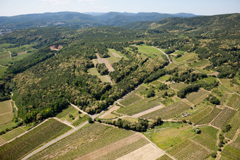 Aerial view of Vineyards in Kallstadt in the state Rhineland-Palatinate, Germany