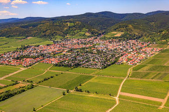 Wine-growing village between vineyards from the northeast in Wachenheim an der Weinstraße in the state Rhineland-Palatinate, Germany