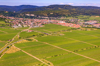 Wine-growing village between vineyards from the southeast in Wachenheim an der Weinstraße in the state Rhineland-Palatinate, Germany