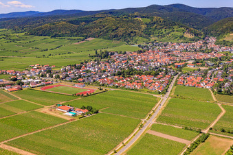 TuS 1883 Wachenheim eV in Wachenheim an der Weinstraße in the state Rhineland-Palatinate, Germany