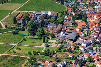 Buildings and parks at the Dr. Bürklin-Wolf winery in Wachenheim an der Weinstraße in the state Rhineland-Palatinate, Germany
